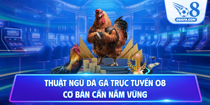 Thuật ngữ đá gà trực tuyến O8 cơ bản cần nắm vững